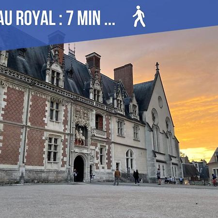 Charme & Calme A 200M Du Chateau Blois Luaran gambar