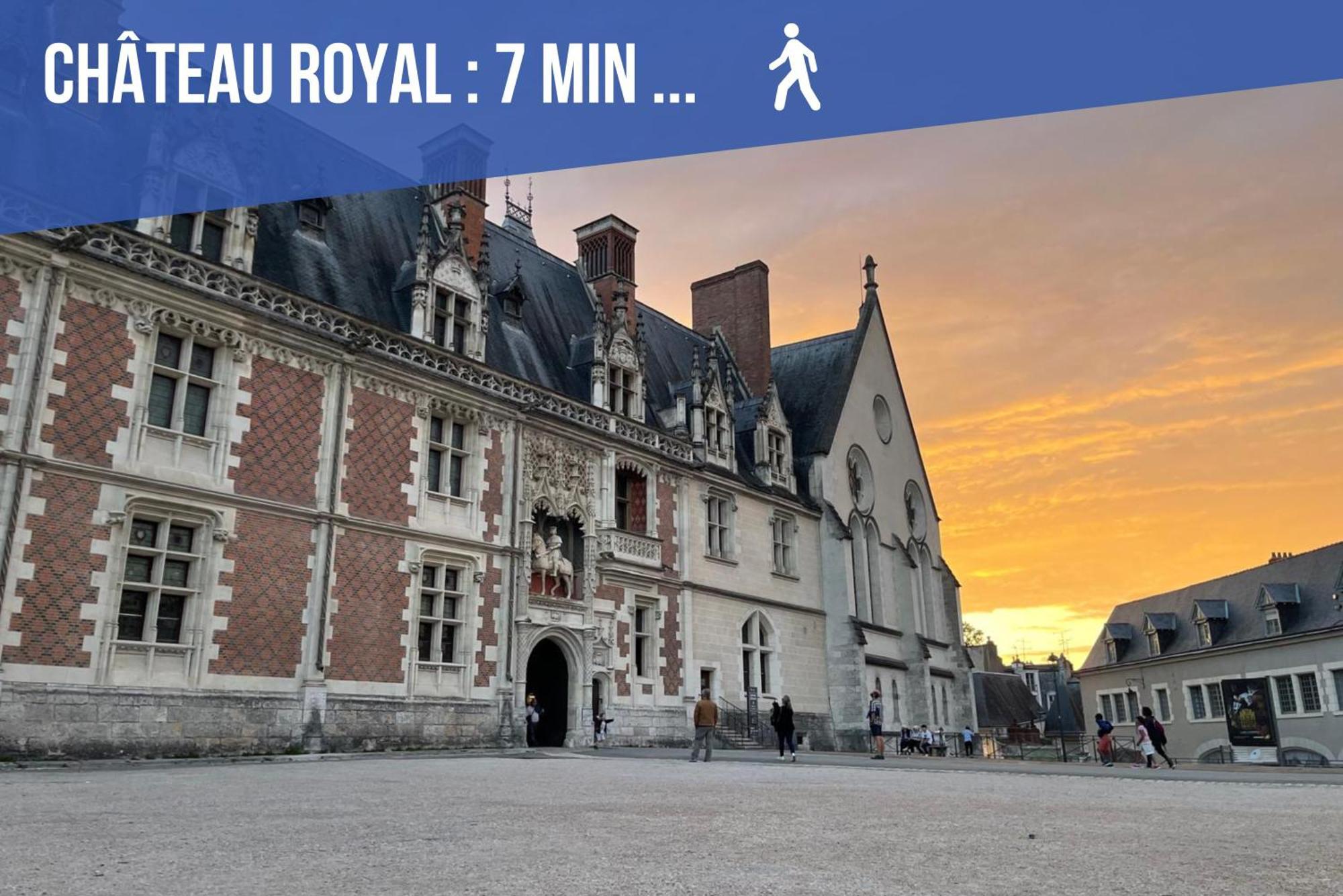 Charme & Calme A 200M Du Chateau Blois Luaran gambar